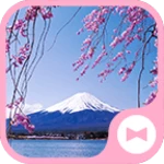 chery blossoms ＆ mt. fuji android application logo